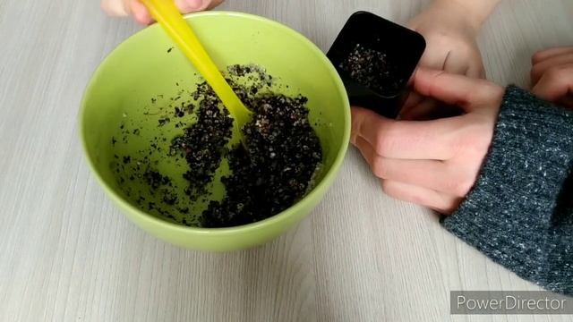 Сажаем литопсы смотреть онлайн