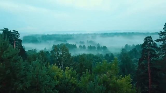 Сергей Бодров - стих про родину (Enjoykin)