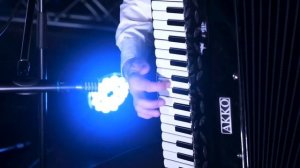 Luis Fonsi - Despacito (Accordion cover by 2MAKERS)