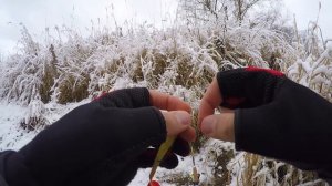 ОГО! Сколько РЫБЫ под этой КОРЯГОЙ! .. Зимний спиннинг. Рыбалка на малой реке