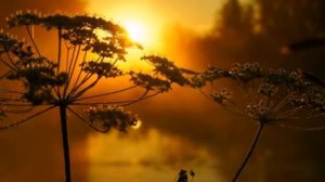 Кто тебя создал такую.mp4