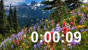 ТАЙМЕР ⏰ на 45 секунд со звуком