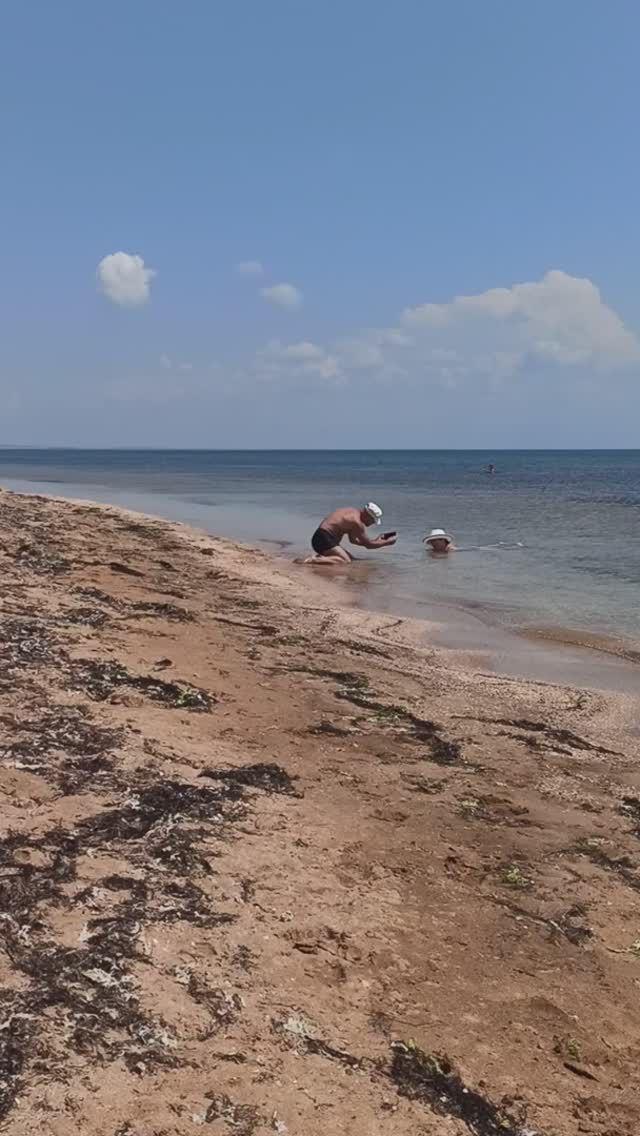 Дикий пляж возле поселка Приморский. Остановка "Планета"