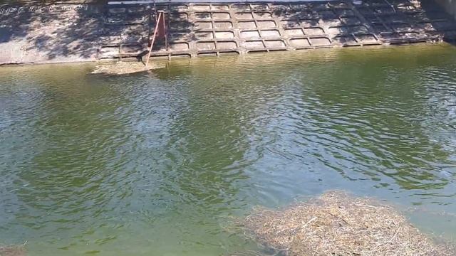 Северо крымский канал смотреть онлайн