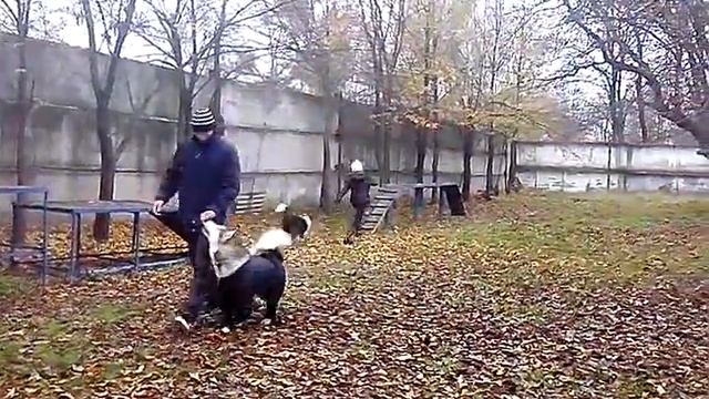 Регина и Леси смотреть онлайн