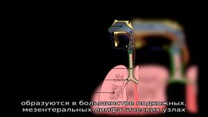 Методы диагностики и ликвидации мыта лошадей