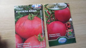 АНАЛОГИ СОРТА ТОМАТА "ФАКЕЛ".