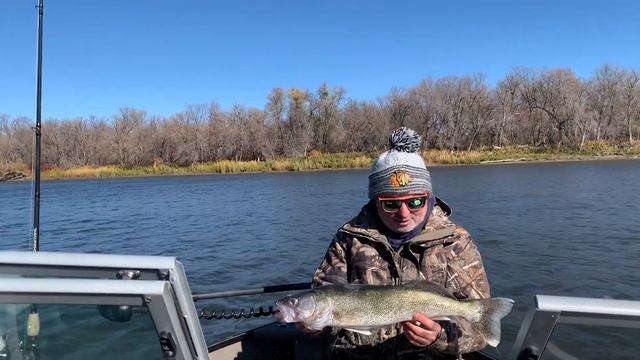 Канадский судак - green back walleye смотреть онлайн