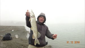 Щука зимой на живца.2018.