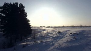 г. Александров. Зимнее утро на озере "Каринское". (4K 60fps) DJI mini 2 footage