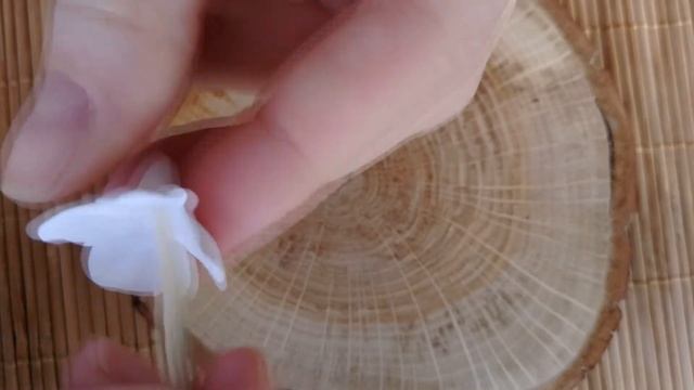 Цветы яблони из полимерной глины ( мастер-класс )