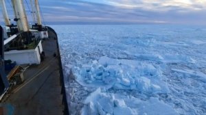 Работа в море. Переход. Охотское море. Льды.