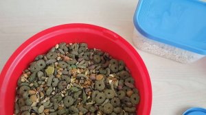 Смешиваю корм для морских свинок СВИНКИ с МОРЯ