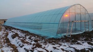 Фермерская теплица. Зимняя постройка 180 кв. м.