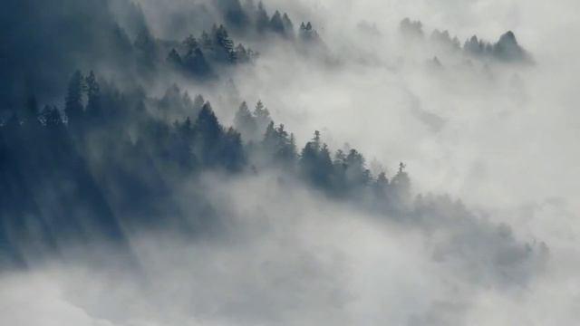 Афтозный стоматит у детей Лечение Симптомы смотреть онлайн