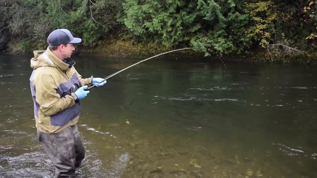 Total Salmon Carnage! Egg Fishing Secrets смотреть онлайн