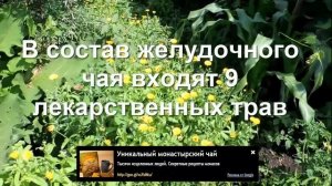 Хронический запор у пожилых лечение