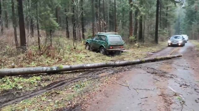 ТК 527 экспедиционное ружьё смотреть онлайн