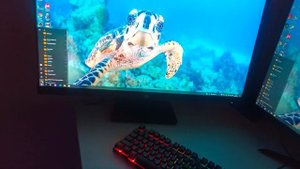 Монитор Hp X32