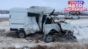 Вот и Приехали! Январьнутые Торопыги и Водятлы