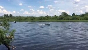 Касатка365+Меркури 15……..vs.......смарт 310+Меркури 5
