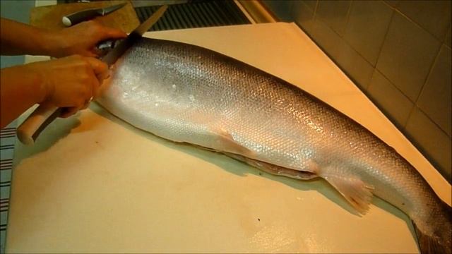 Рыба Рецепты Блюд из Рыбы Лосось Salmon Recipes