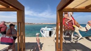 Поехавшие в Египет (Хургада). Часть 2 Sunrise Aqua Joy Resort 4*