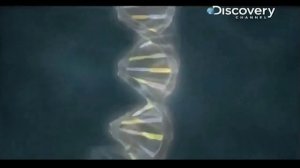 ДНК-новая волна. Тайна генов раскрыта. Канал Discovery