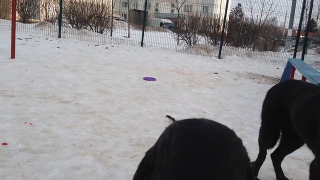 Герда