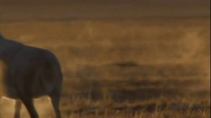 Гималаи (ч.4)