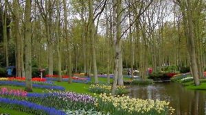 keukenhof