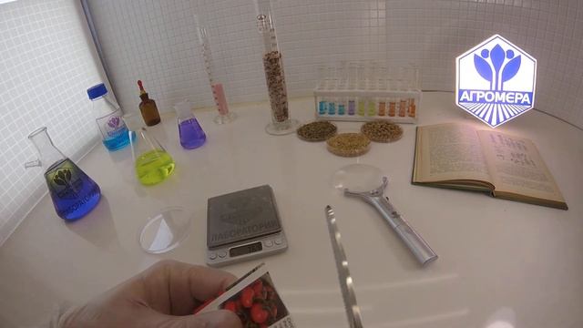 Томат Непас. СеДеК смотреть онлайн