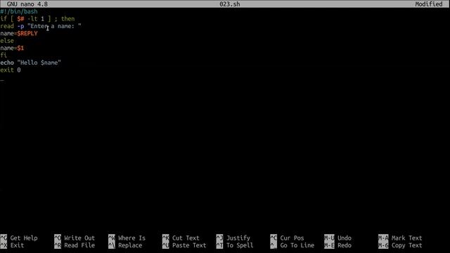 022 - Shell Scripting #02 | How To Take Inputs And Use Conditions