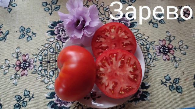 Коллекционные сорта и семена томатов. смотреть онлайн