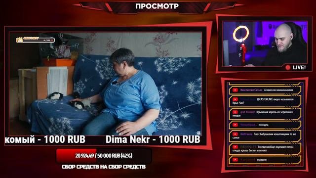EASTERCAKE СМОТРИТ: В моей квартире живут 120 крыс. Крысиная мама.