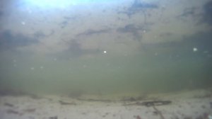 РЫБАЛКА.СЪЕМКИ РЫБЫ ПОД ВОДОЙ. ПОПЫТКИ ПОЙМАТЬ СУДАКА. ЖОР ОКУНЯ НА УКЛЕЙКУ.