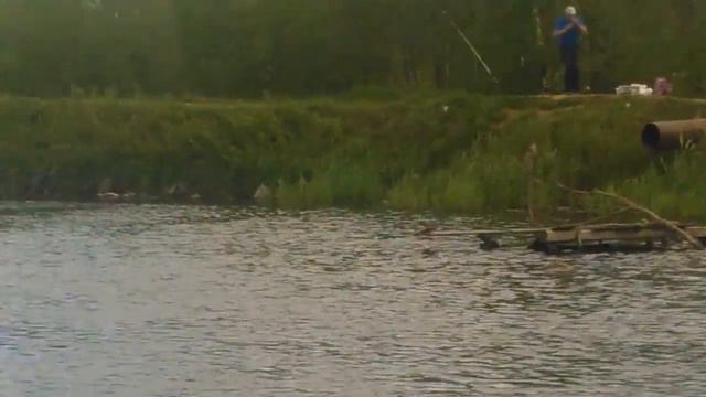 Рыбак чудо я так не умею как он :):):) смотреть онлайн