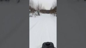 мотобуксировщик белка,покатухи