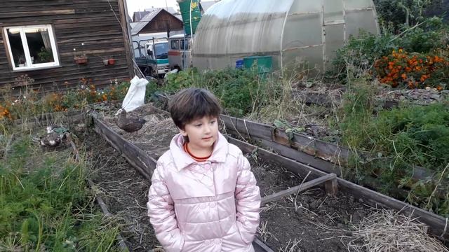 ГУСИ ГА-ГА-ГА! ВНУЧКА ИРИНКА И ПРОСТО О ТОМ КАК Я ЖИВУ! смотреть онлайн