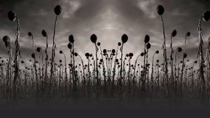 Dead Can Dance - 'Children Of The Sun'