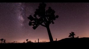 ТЕЛЕЦ. Созвездие Телец. История. Интересные факты.