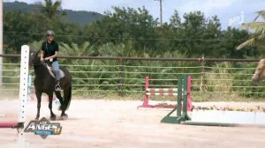 Realtv-News-les-anges-8-pacific-dream-episode-84