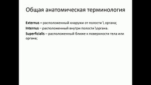 Оси и плоскости Общая анатомическая терминология