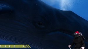 VR игры про Дайвинг