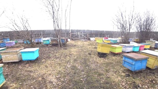 ОСНОВНЫЕ СОВЕТЫ ПО ВЫВОДУ МАТОК РАННЕЙ ВЕСНОЙ.