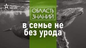 Как киты стали родственниками свиньям? Лекция палеонтолога Ярослава Попова.