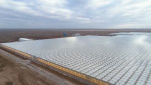 Агрокомплекс ВОЛЖСКИЙ