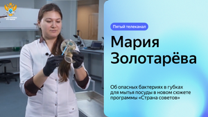 Мария Золотарёва рассказала об опасных бактериях в губках для мытья посуды | Пятый телеканал