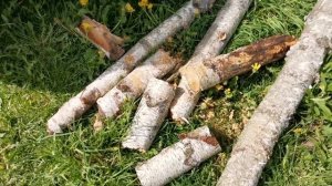 Аккумуляторная цепная пила вортекс 18вольт WORTEX CEC 2518