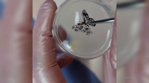 Мастер класс Реверсивный стемпинг.